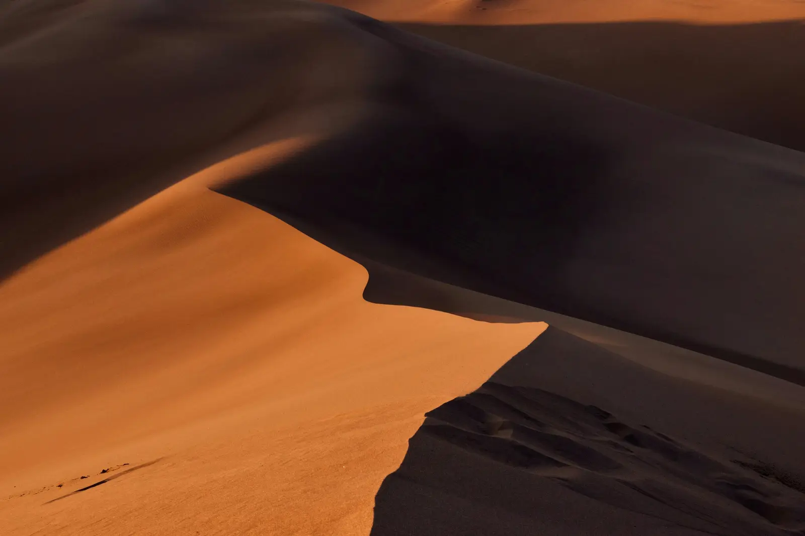 Liwa Oasis