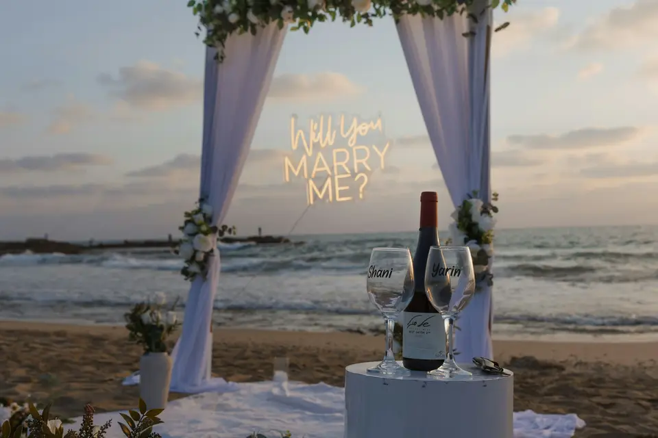 Proposal video